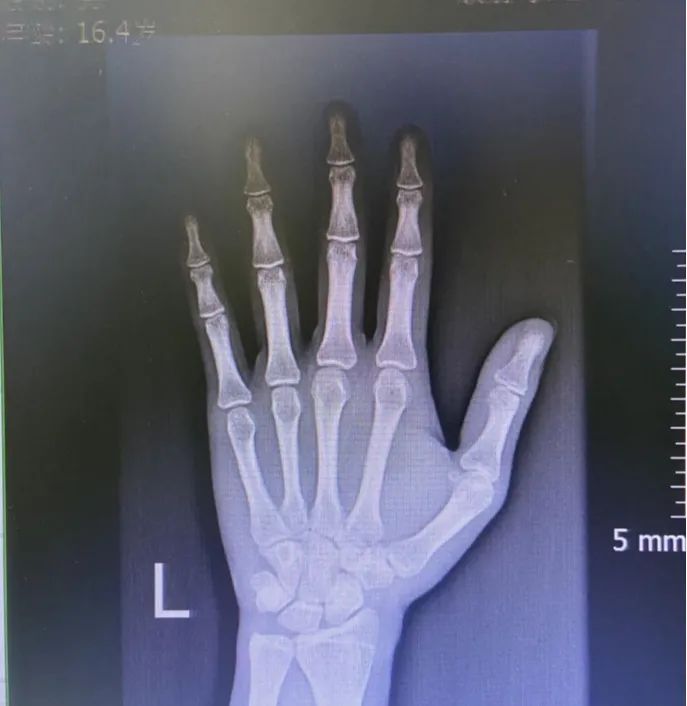 1684802117114214.jpg 微信图片_20230523083435.jpg