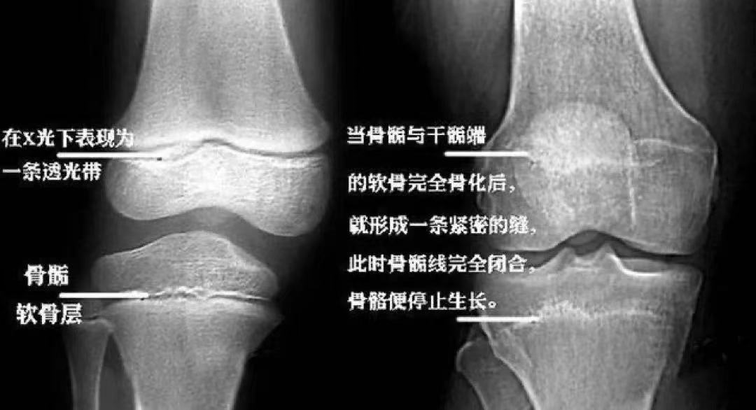 1684802176311550.png 微信图片_20230523083500.png